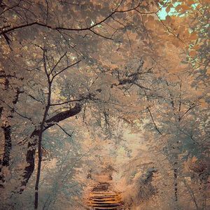 Meet your Posher, Carolyn